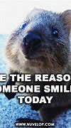 Image result for Funny Daily Sayings and Quotes