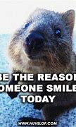 Image result for Happy Monday Morning Meme