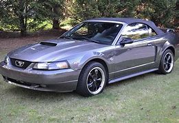 Image result for 40th anniversary edition mustang