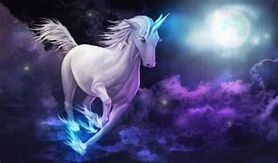 Image result for white unicorns