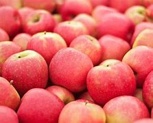 Image result for What Does a Pink Apple Look Like