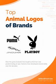 Image result for Animal Branding