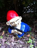 Image result for Keemstar Garden Gnome