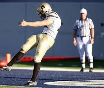 Image result for Best Te American Football