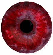 Image result for Horror Eye Art