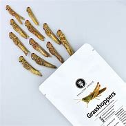 Image result for Edible Grasshoppers