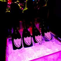 Image result for Pink Rose Champagne