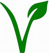 Image result for Vegan V