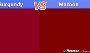 Image result for Comparison Difference