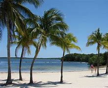 Image result for Key Largo Florida Attractions