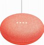 Image result for Google Dot Speaker Coral