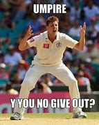 Image result for Funny Eating Cricket Memes