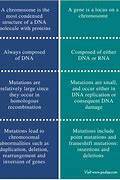 Image result for Difference Between Gene and DNA