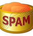 Image result for Spam Button PC