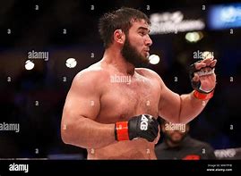 Image result for MMA Fighter Art