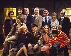 Image result for The Sitcom Show Parody