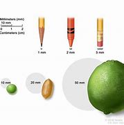 Image result for How Long Is One Millimeter