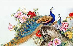 Image result for Vintage Peacock Wallpaper