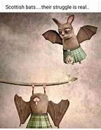 Image result for Baby Bat Meme