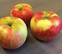 Image result for 22 Different Apple's