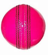 Image result for BS Cricket Bag