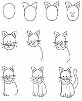 Image result for Cómo SE Baña Un Gato