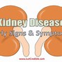 Image result for Warning Signs of Kidney Disease