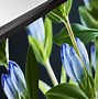 Image result for Back Panel Image of Sony Bravia 32 Inch