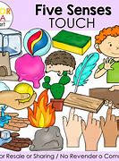 Image result for Sense of Touch