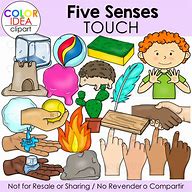 Image result for Sense of Touch Feel