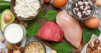 Image result for High Protein Foods