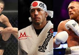Image result for MMA Fighting Style