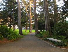 Image result for Hayakawa SF State University
