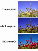 Image result for Color Corrected Lens