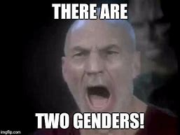 Image result for There Are Four Women Picard Meme