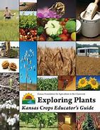 Image result for Kansas Crops List