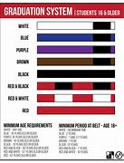 Image result for Jiu Jitsu Belt Order