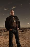 Image result for Hank Recuperating Breaking Bad