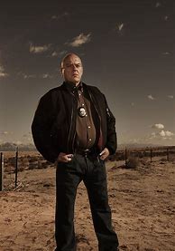 Image result for Hank Photo Breaking Bad