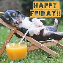 Image result for Happy Friday Dog Quotes