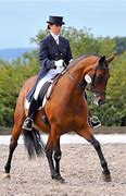 Image result for Half Pass Dressage Movement