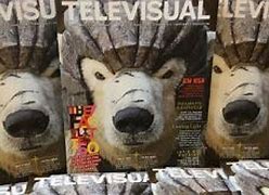 Image result for televisual