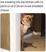 Image result for Shredded Cheese Meme