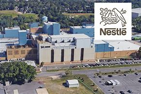 Image result for Nestle Factory Cabarita