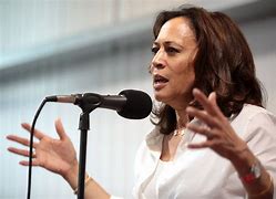 Image result for Kamala Harris Outfits