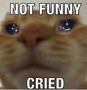 Image result for Funny Crying Cat Meme