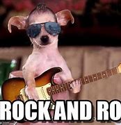 Image result for Funny Rock and Roll