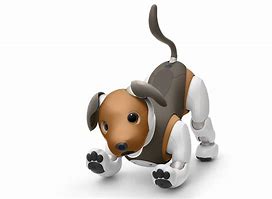 Image result for Brown Aibo