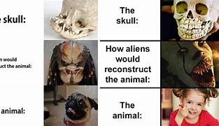 Image result for Alien Skull Meme