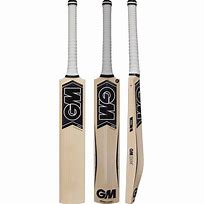 Image result for GM F2 808 Cricket Bat